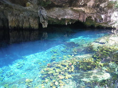 Gran cenote in the Riviera Maya - Hotel Cielo